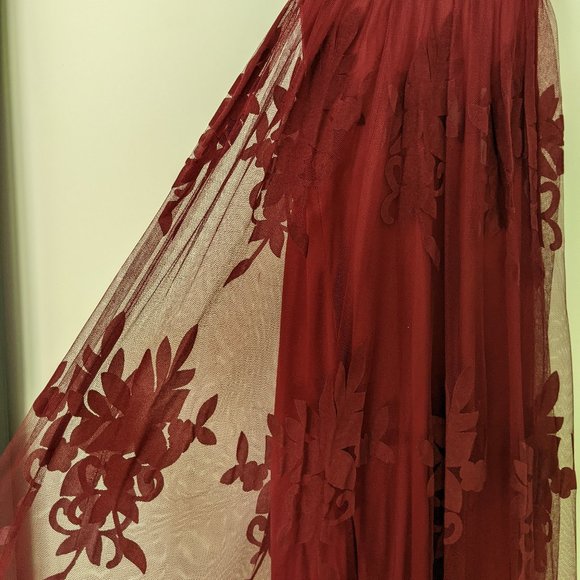 Chiiffon Lace Gown - Picture 3 of 8